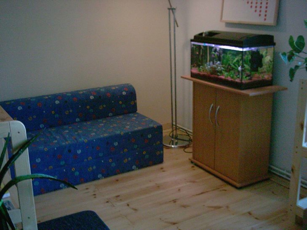 Aquarium im Gruppenraum